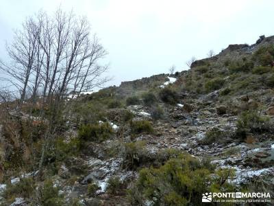 Hayedo de Montejo - Cuerda de la Pinilla; consejos para hacer senderismo; senderismo para principian